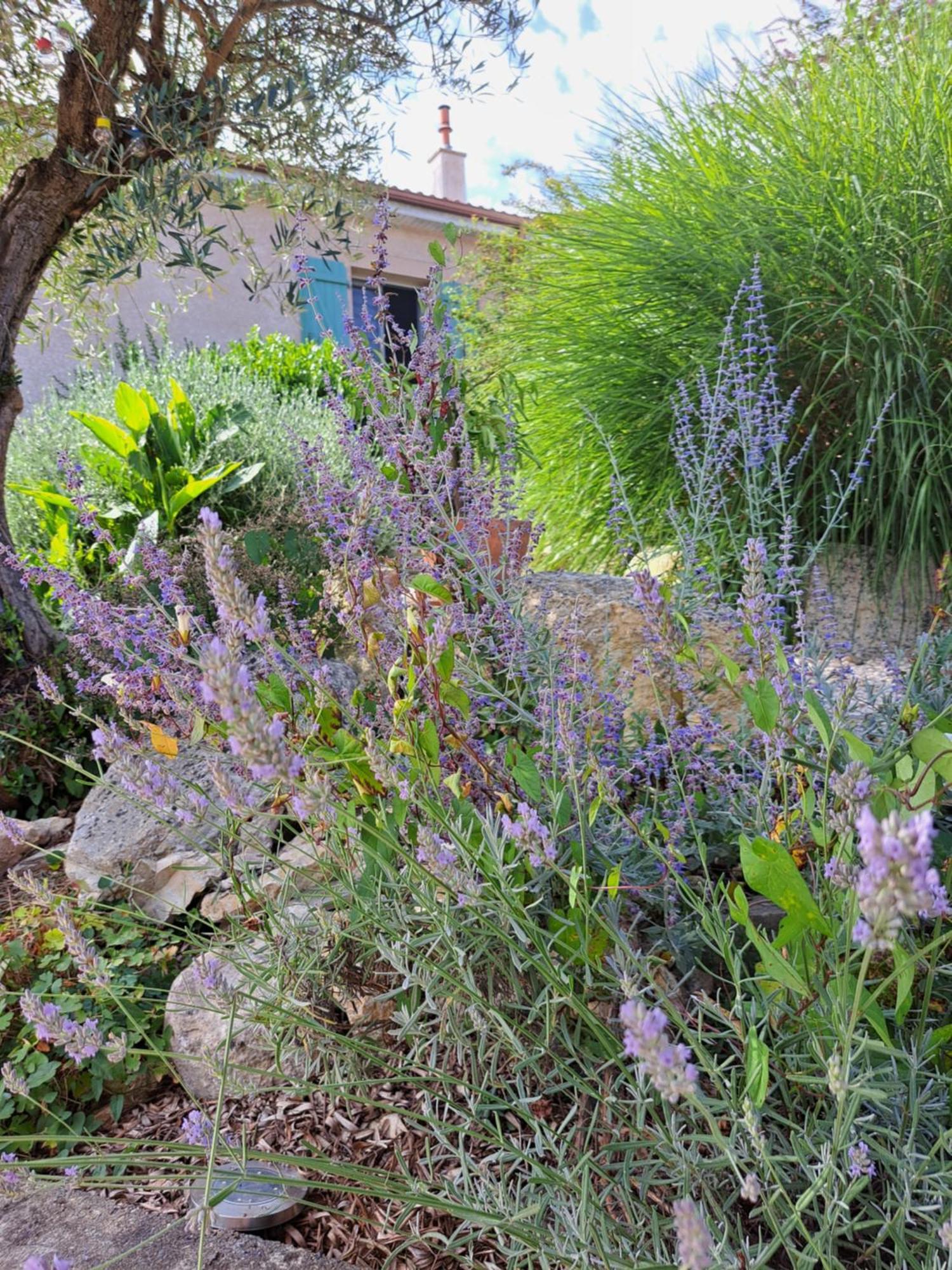 La Tropezienne Castera-Verduzan Экстерьер фото